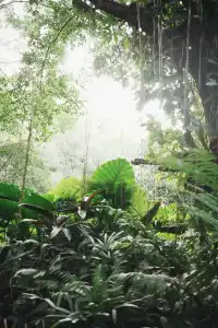 廈門植物園｜又是能量滿滿的一天！