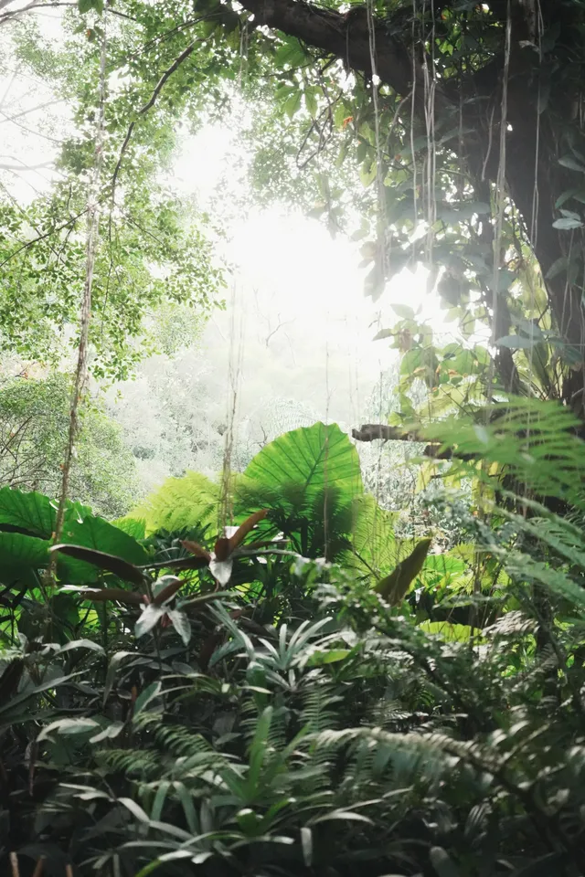 廈門植物園｜又是能量滿滿的一天！