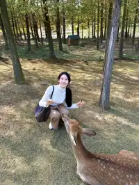 終於等到了12月的南京