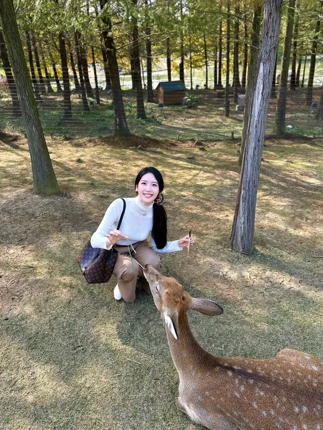 終於等到了12月的南京