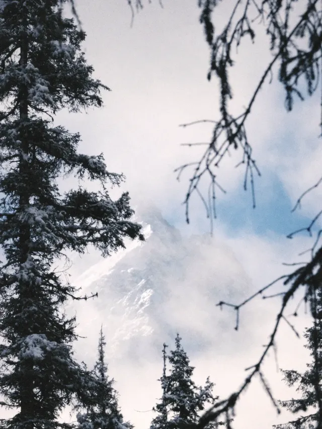 這裡不是挪威,這裡是白馬王朗! 這裡不是挪威,這裡是白馬王朗!