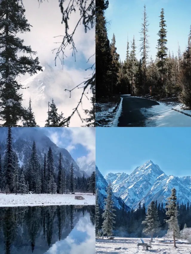 這裡不是挪威,這裡是白馬王朗! 這裡不是挪威,這裡是白馬王朗!