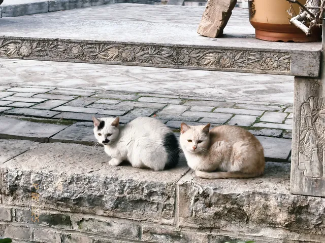 我眼中的青州 我眼中的青州