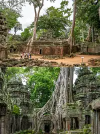 塔布隆寺|古墓奇兵取景地,異星球神樹奇觀