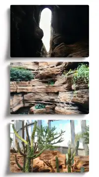 探索上海溫室花園的綠意秘境 