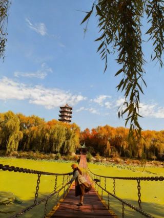 เดินชมสวนเกษตรสามชนชิงหยาง