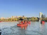 西安興慶宮｜在皇家園林裡接住最後一捧銀杏