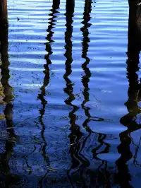 12月洱海!闖入現實版《小森林》紅杉秘境!