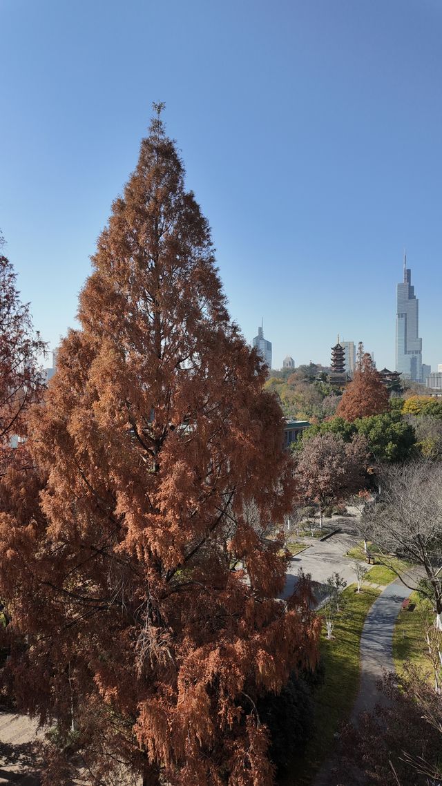 週末小眾建築遊