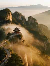 漢中冬季親子遊|追海鷗+無痛爬山兩日遊攻略