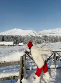 美的不真實地貌