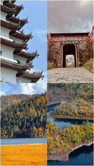 Just got back from Fushun, time to tell some harsh truths