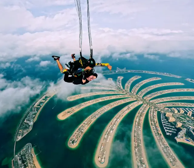 棕櫚島上空自由飛翔