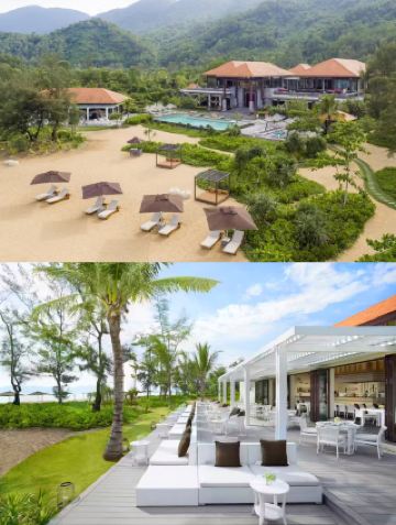 🫧ต้นไทรบนเกาะลันเตา ทางตอนกลางของเวียดนาม🪴🪴 ดินแดนอันเงียบสงบที่ซ่อนตัวอยู่ท่ามกลางภูเขาและทะเล