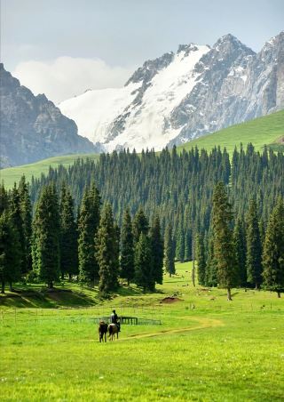 S101道路上の絶景秘境探訪：鹿角湾とアンジハイ峡谷の旅