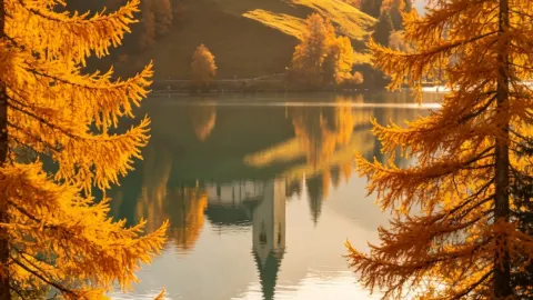 Unlock multiple ways to experience Switzerland, embracing both lakes, mountains, and cities — traveler post in Geneva