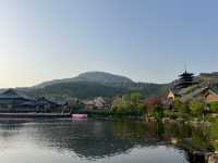 東山問梅村一日遊