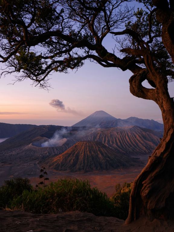本気の旅：地球の惑星、ブロモ山へ（山火事シーズンの解説） | Trip
