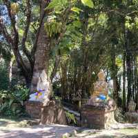 นั่งสมาธิธรรมชาติบำบัด ที่วัดผาลาด