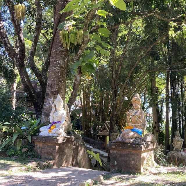 นั่งสมาธิธรรมชาติบำบัด ที่วัดผาลาด