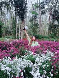 สวนดอกไม้เปิดใหม่ @ไร่คุณอารียา กระบี่