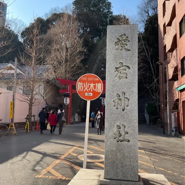 愛宕神社で出世の階段を登る