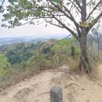 高雄高崎山