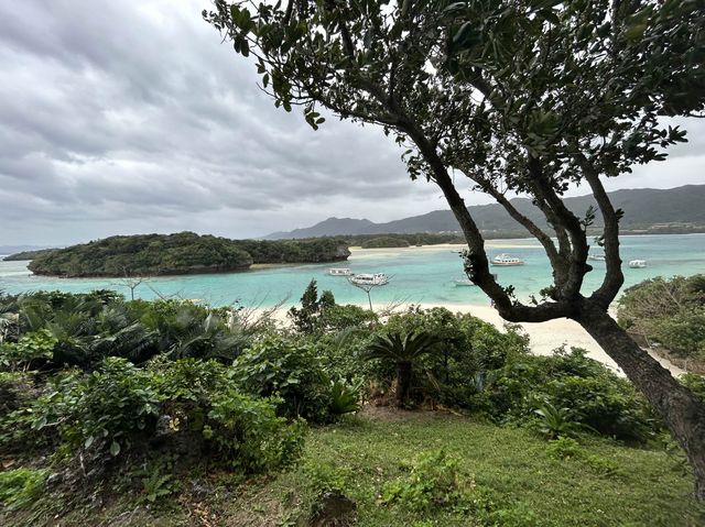 【石垣島】