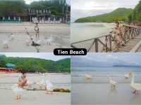 เกาะล้าน  2 วัน 1 คืน กับ 9 จุดเช็คอิน