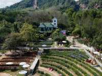 Songkhla Flower Farm ... หาดใหญ่ จ.สงขลา