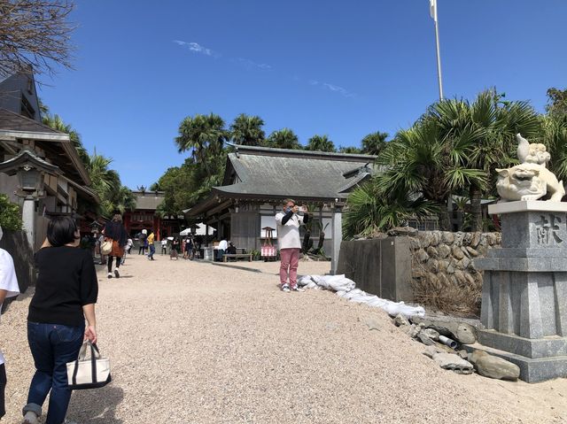 【宮崎】縁結びのパワースポット！青島神社をご紹介