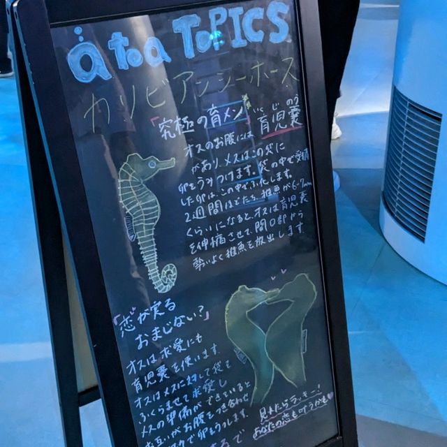 【神戸イチオシ】○o。.atoa水族館.。o○