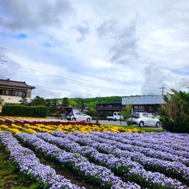 그림같은 후지산을 보라.