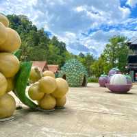 จุดชมวิวเขาช้างสี