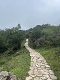 Hiking route from Tsuen Wan for nice view & food