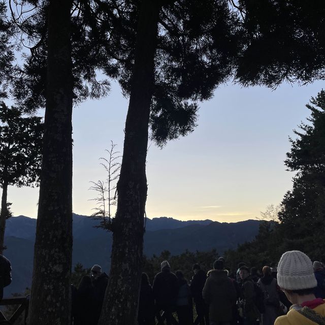 Catching the Sunrise at Alishan
