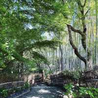 白鳥庭園