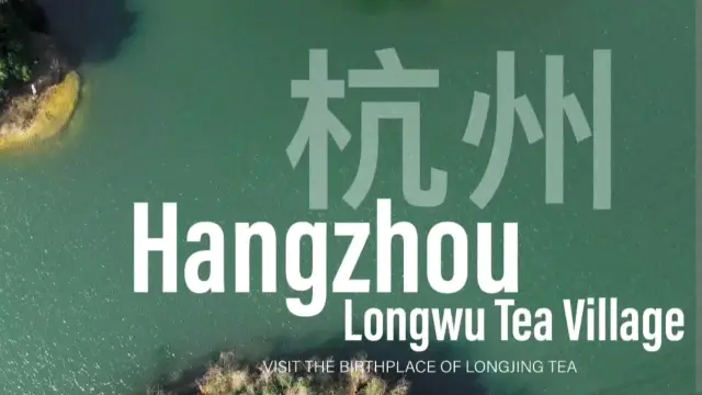 Experience a Hangzhou tea village