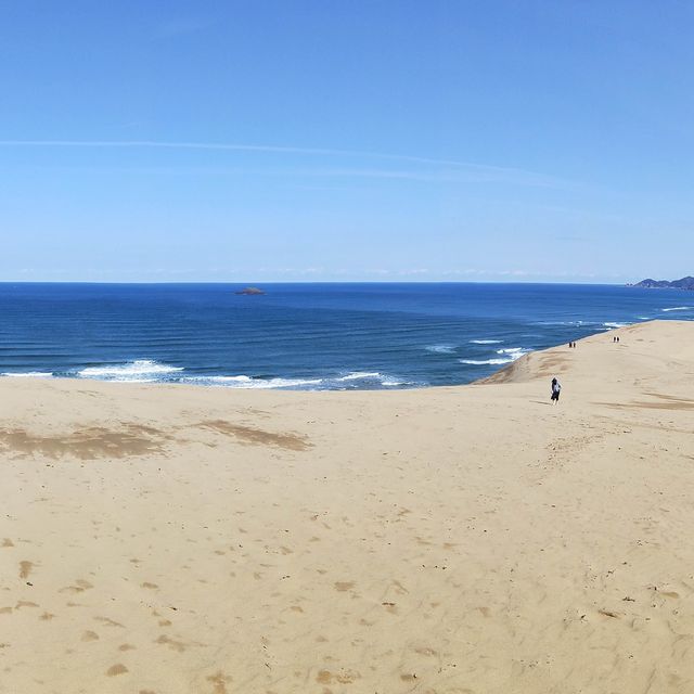 稱之為小沙漠🏜️鳥取沙丘