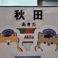 迢長路遠也要來秋田看每年一度的竿橙祭