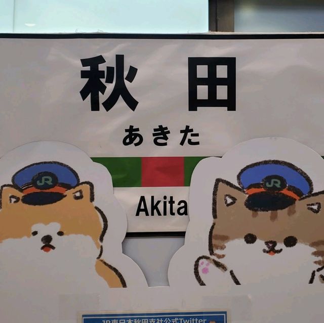 迢長路遠也要來秋田看每年一度的竿橙祭