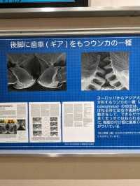 【大阪箕面】箕面の森と虫のミュージアム