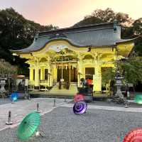 日本佐賀縣武雄神社，傳說中的長壽神社