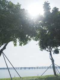 來歡樂港灣告別盛夏
