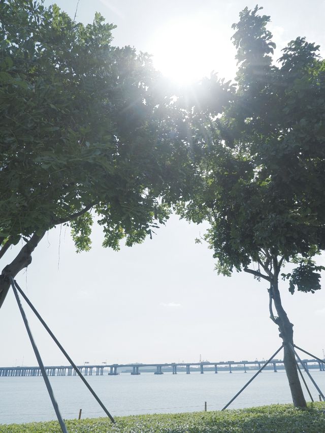 來歡樂港灣告別盛夏