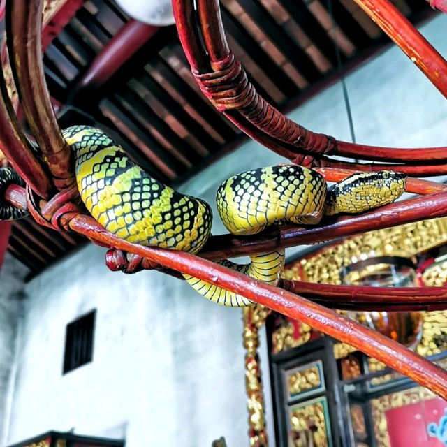 Amazing Snake Temple in Penang