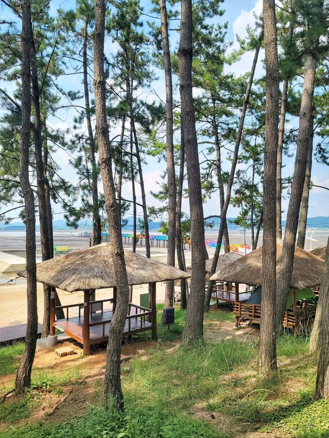 일곱빛깔무지개🌈이런 다리 본적있나요?