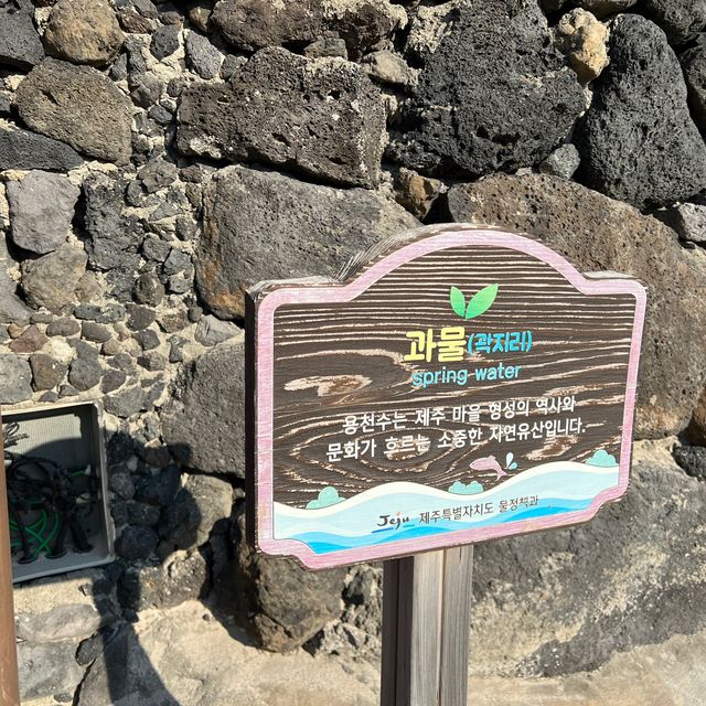물 색깔 실화?😳 제주여행 원픽! 곽지해수욕장 