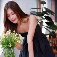 ลำสระเกษ Cafe & Camping คาเฟ่ และที่พัก