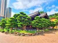 【偽日本半日遊🇯🇵~志蓮淨苑🙏】